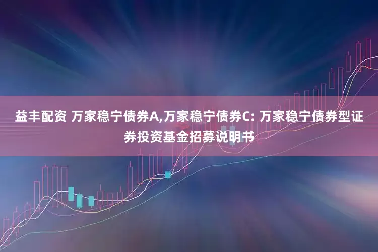 益丰配资 万家稳宁债券A,万家稳宁债券C: 万家稳宁债券型证券投资基金招募说明书
