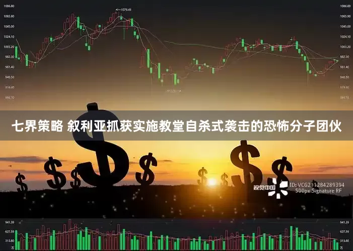 七界策略 叙利亚抓获实施教堂自杀式袭击的恐怖分子团伙