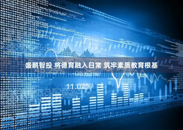 盛鹏智投 将德育融入日常 筑牢素质教育根基