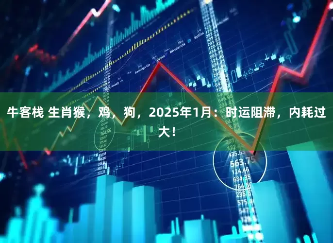 牛客栈 生肖猴，鸡，狗，2025年1月：时运阻滞，内耗过大！
