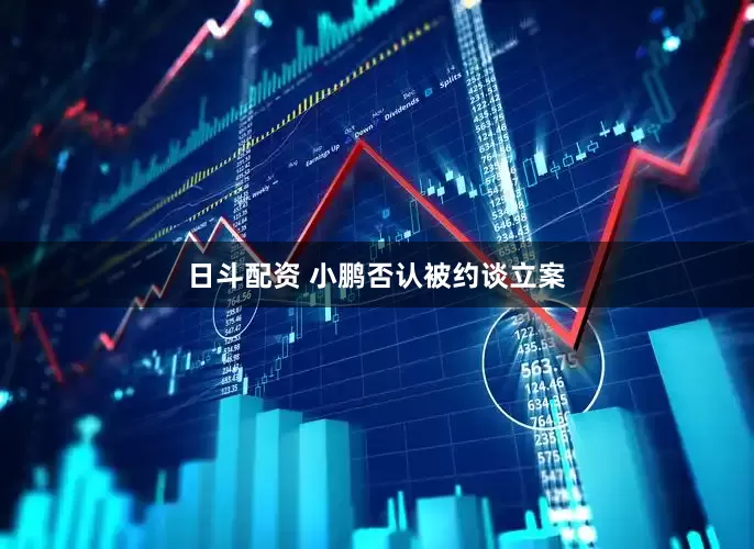 日斗配资 小鹏否认被约谈立案